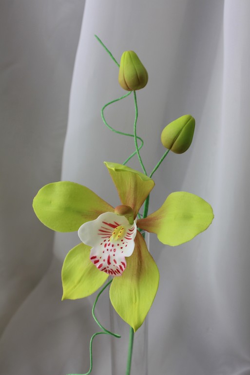 Пион и орхидея цимбидиум.