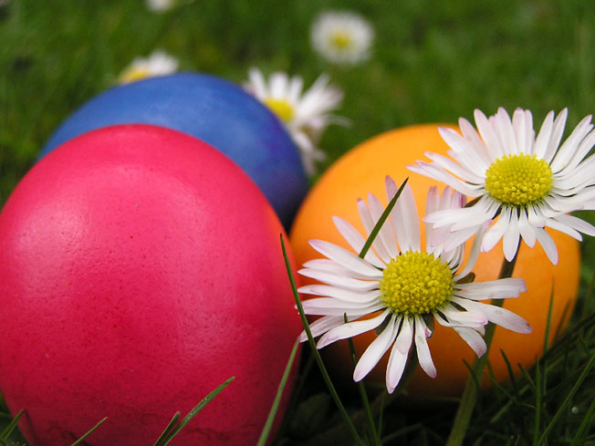 Отзывы участниц ФМ "Пасха"