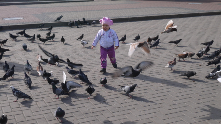 Летите голуби, летите