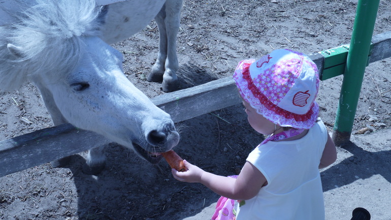 Зоопарк и Даша