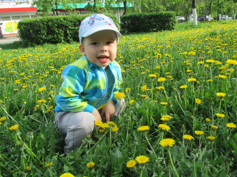 ТЗ Солнышко на ножке.