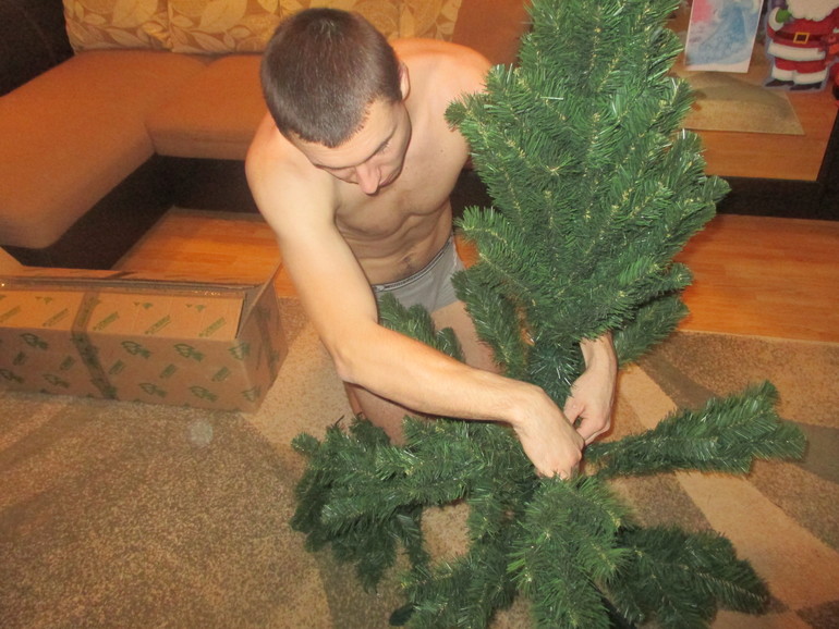 ТЗ Украшение комнаты.