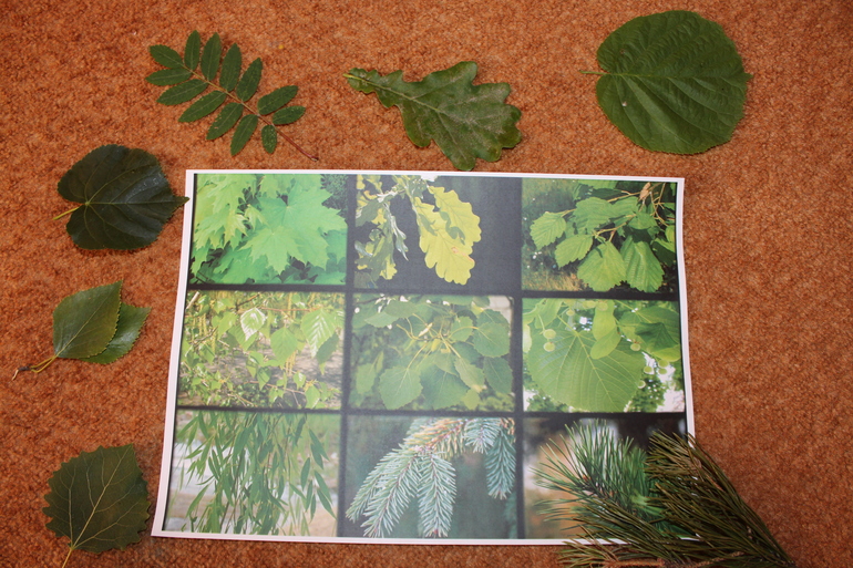 ТН "Навстречу природе"