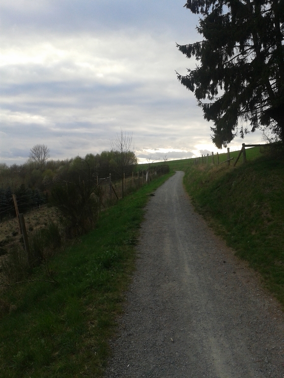 Забег на 6 км. Моя радость. Пейзажи Германии. :-)