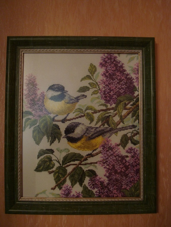 Оформила синичек