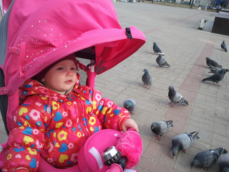 Погуляли,гулей покормили,травку пощипали)))