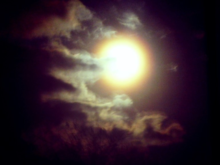 Moonlit night...