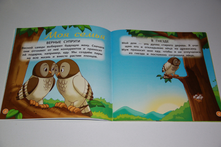 DeAgostini "Животные леса" 2-5 номер