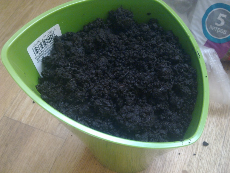 Немного "огородничества".