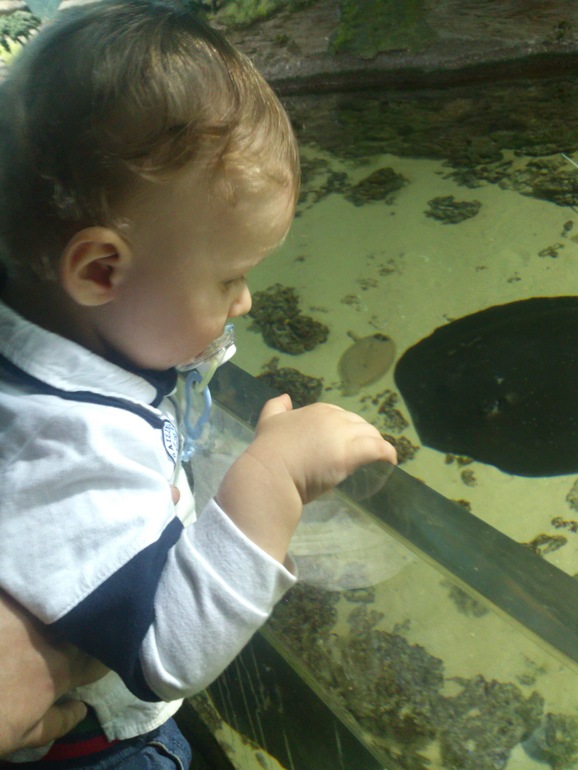 В ожидании НГ