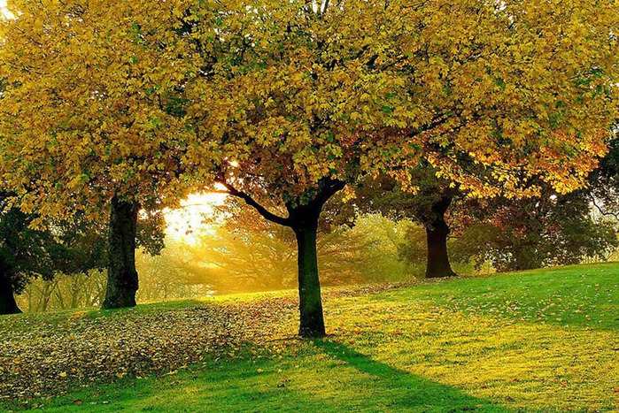 Урок №2. Вырезаем объект