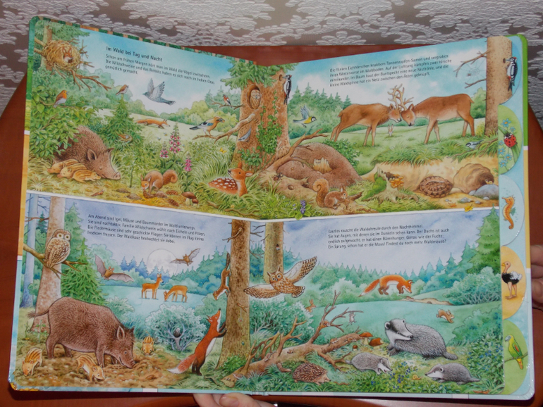 Развороты Meine Welt der Tiere by Hans-Günther Döring