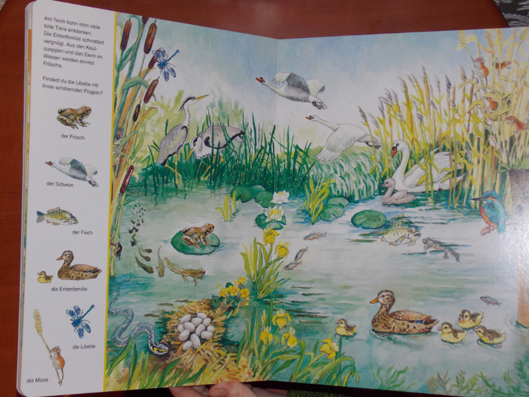 Развороты Mein großes Suchbilderbuch Tiere by Blanka Leonhardt