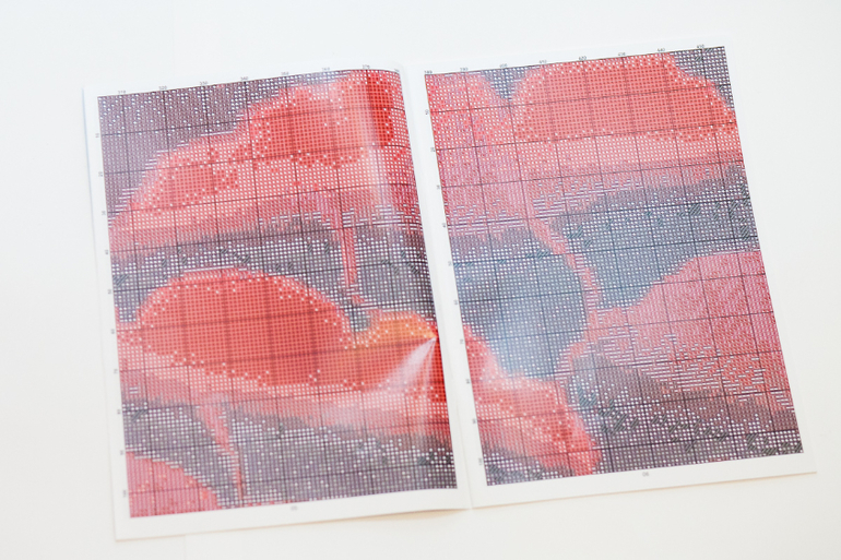 Фотоотчет от 27 февраля