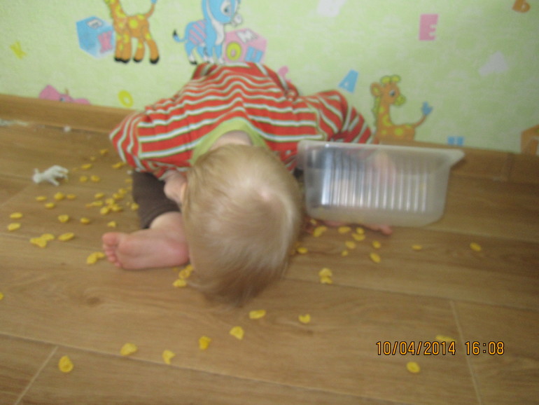 ТН "Скотный двор". День 4 - Овца