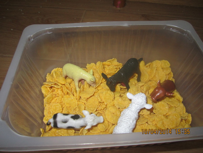 ТН "Скотный двор". День 4 - Овца