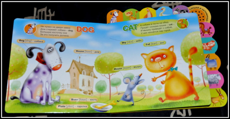 Книгообзор 6.