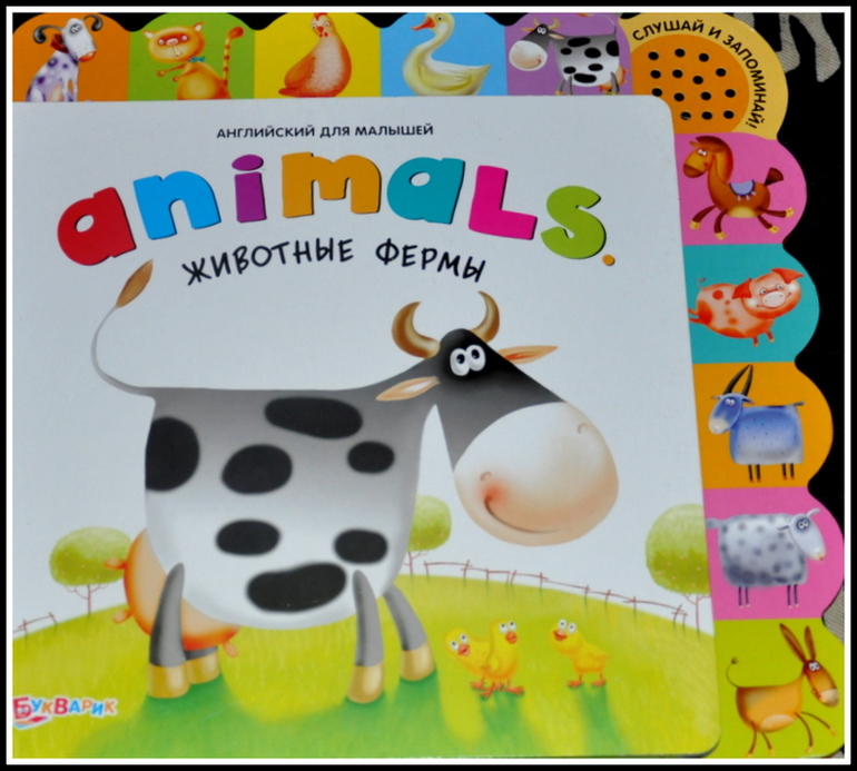 Книгообзор 6.