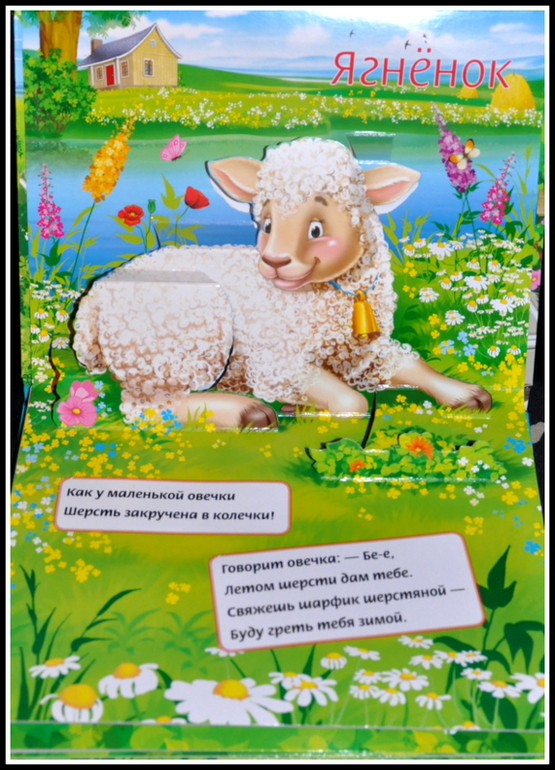 Книгообзор 6.