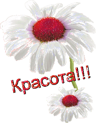 Хвастики и отзывы .