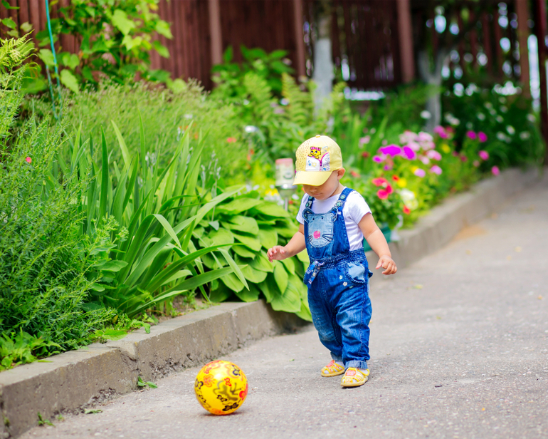 Второй год пошел (1.1)