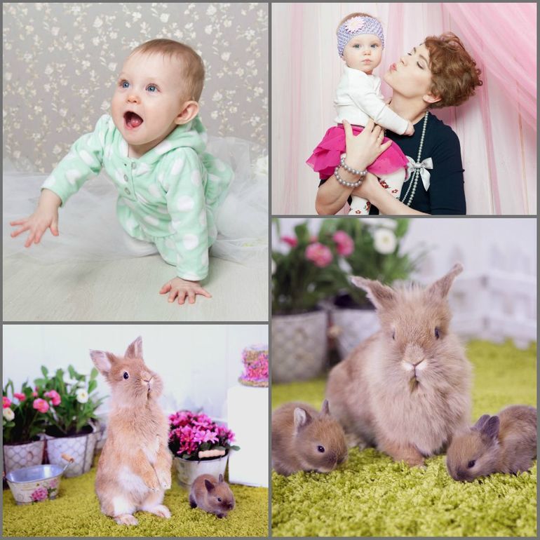 Приглашаю на фотосессии с кроликами!!!