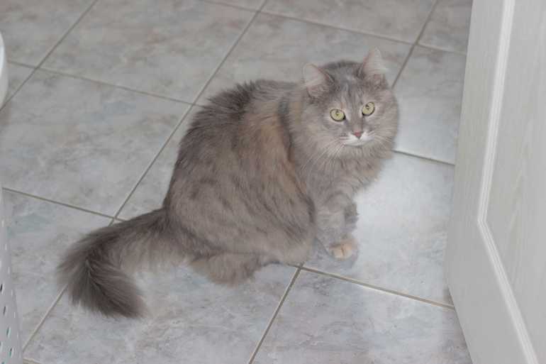 Еще не показывала мое прибавление :)