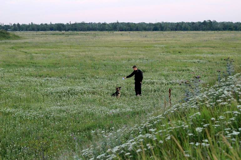 Мои любимки