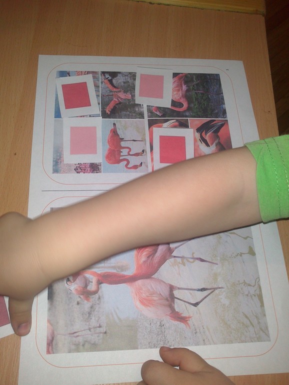 ТЗ " Экзотические птицы"