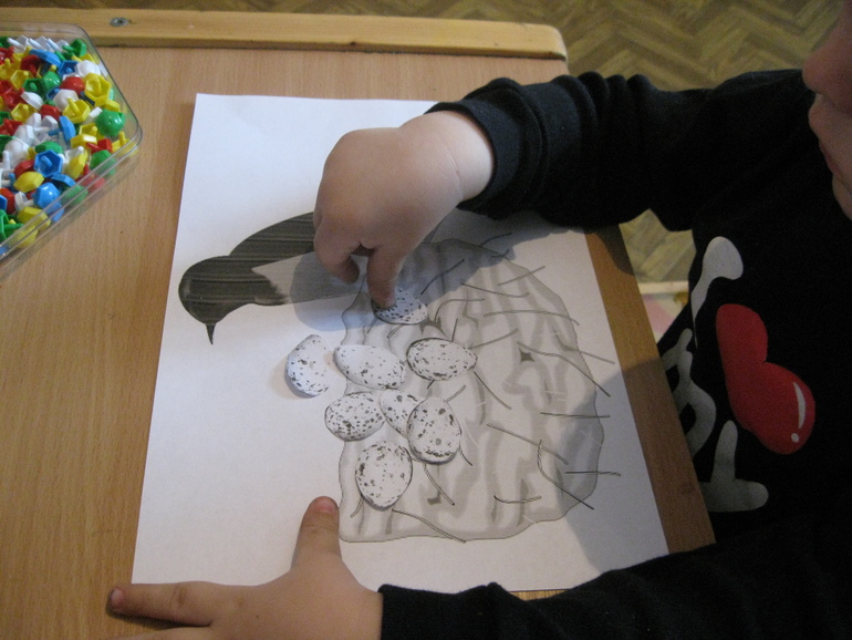 Птицы. День второй.