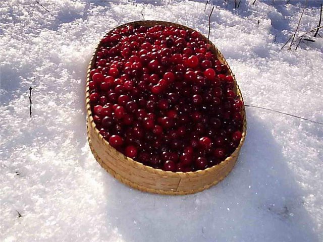 Ароматнейший клюквенный горячий морс