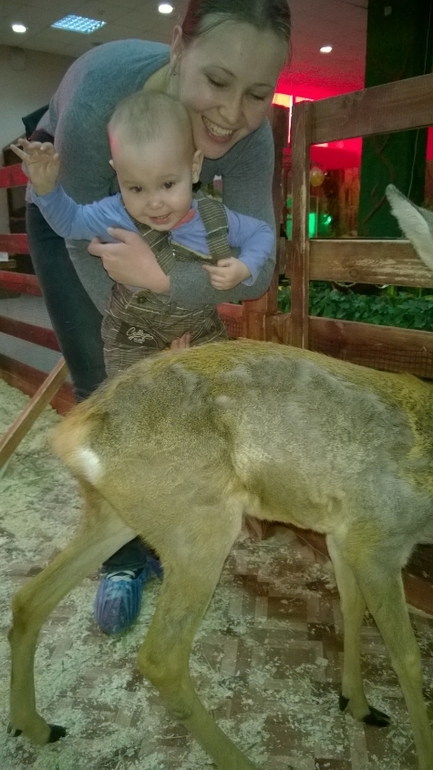 Какие мы в год :)