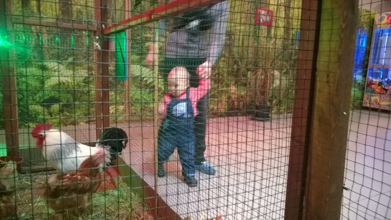 Какие мы в год :)