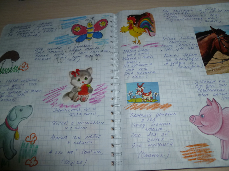 Отчет ТЗ Бабочки-красавицы