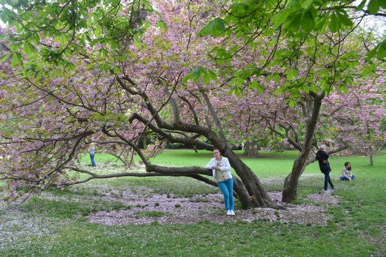 Путешествие в Прагу.