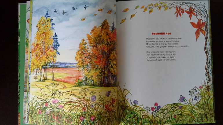 Кошки-мышки