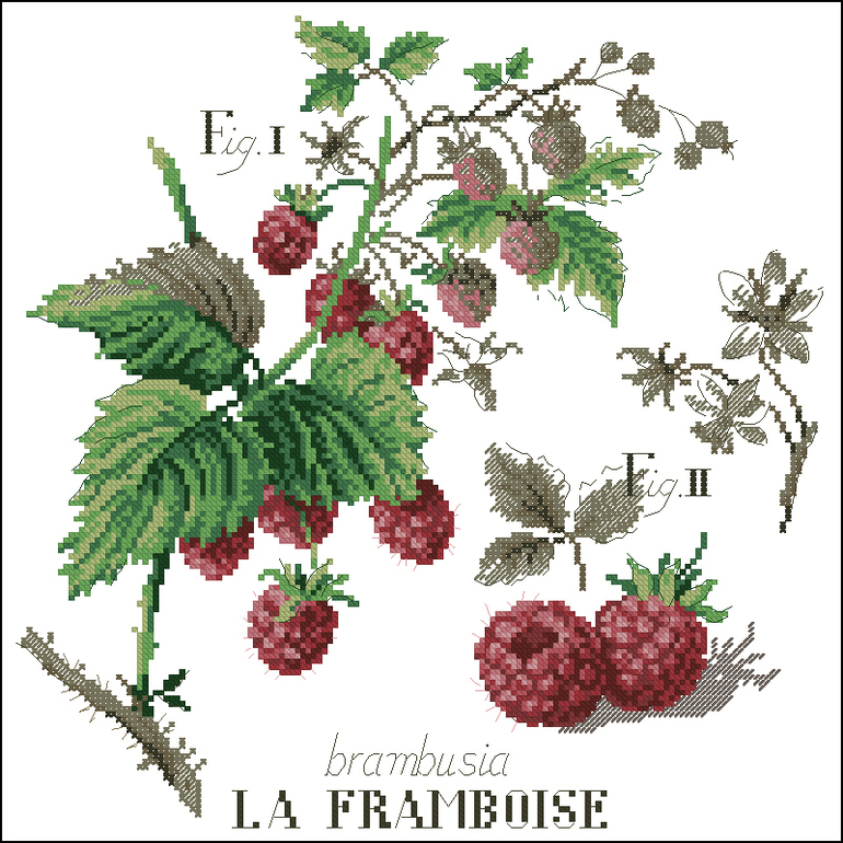 Ищу схемки ягод из серии Ботаника!