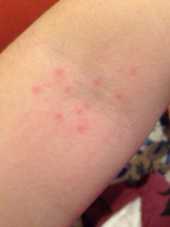 У меня паника(((