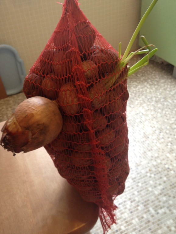 Во че нашла дома)))))