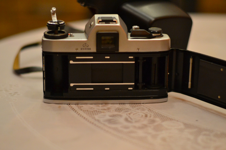 Мой новый друг!