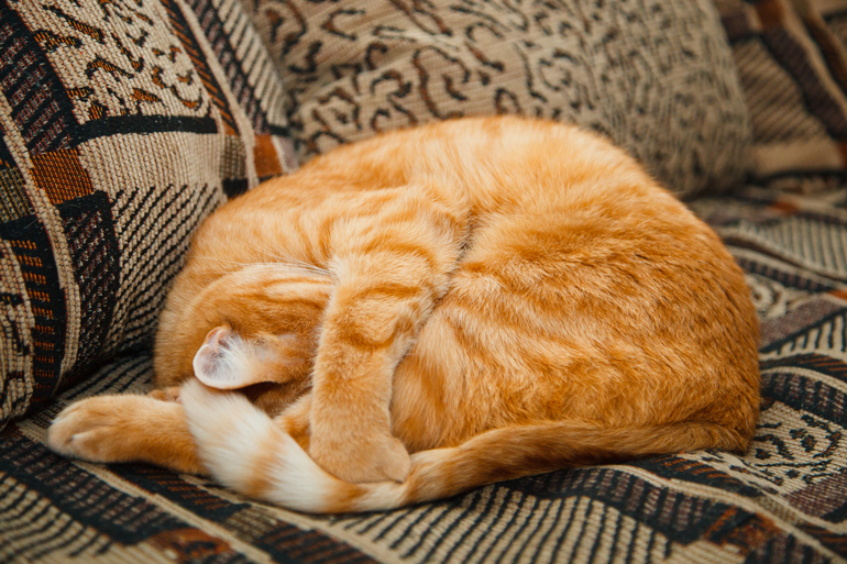 Взлет 72, день 4