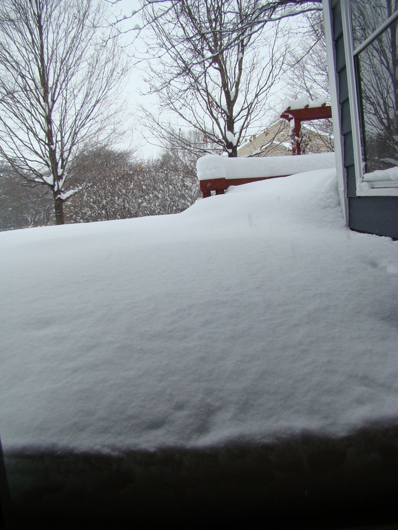 Вот это нас засыпало!