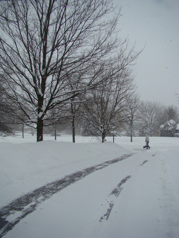 Вот это нас засыпало!