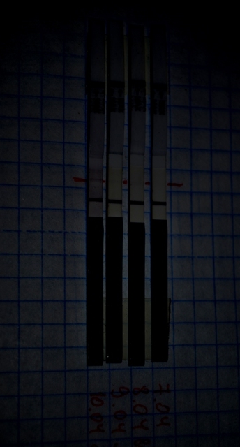 Надежда ещё есть...