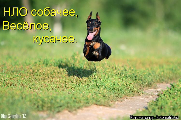 ))