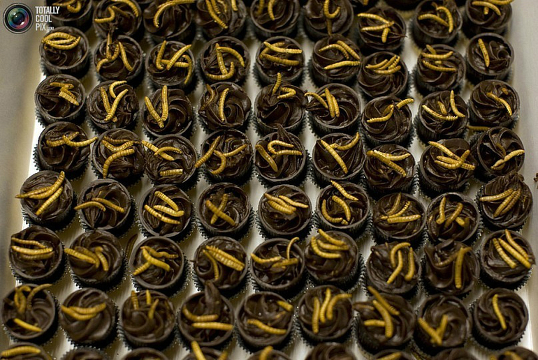 Пост для тех, кто хочет жрать )