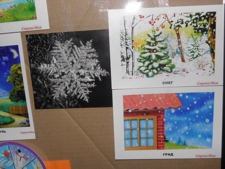 ТН Погодные явления. День 4: Снегопад, лед.