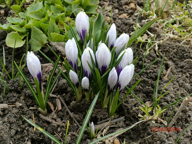 Наши прогулки.