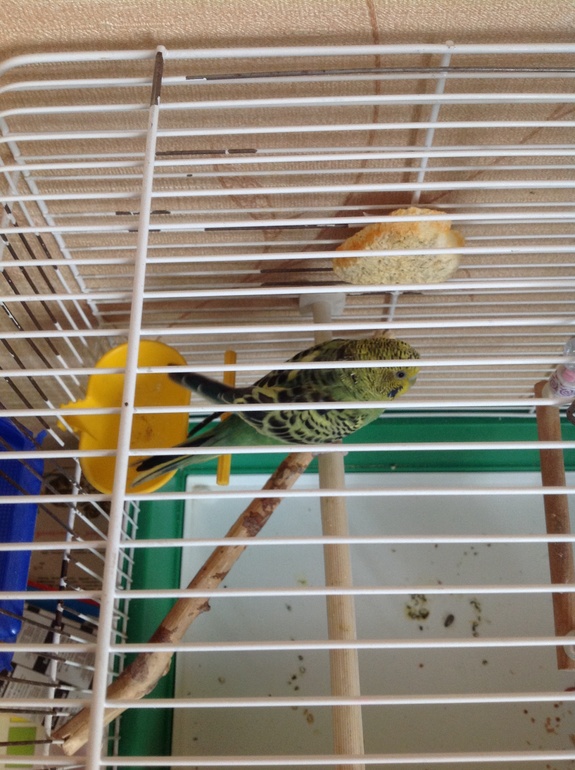 подскажите врача!!! SOS!