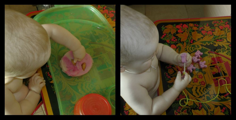 ТН "Лесные животные"